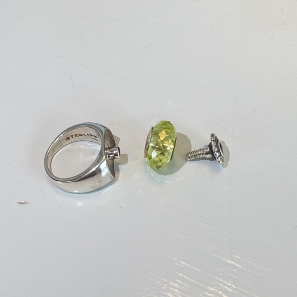 NWT SS Interchangeable Ring